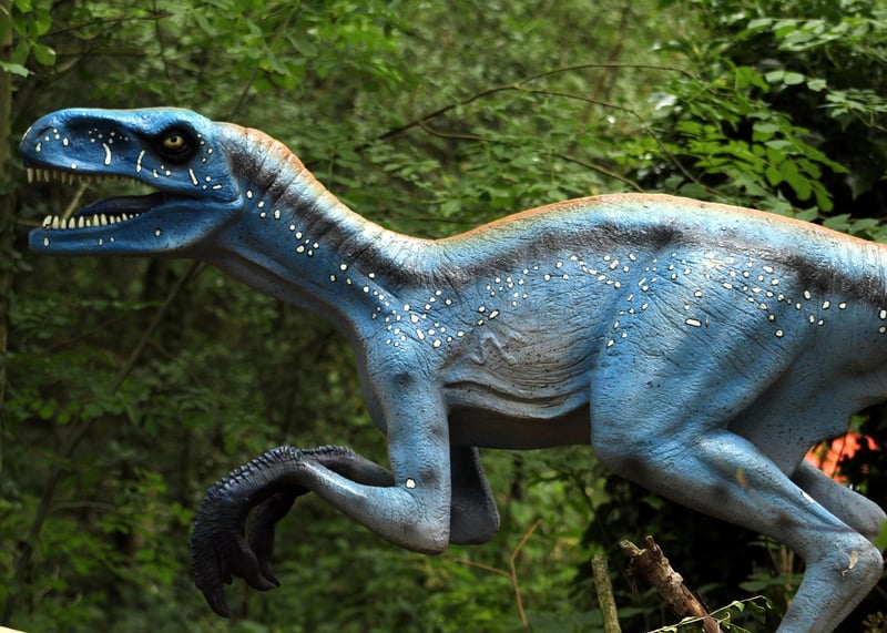 Triceratops